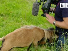 immer der kameramann #2