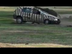 unzufriedenes nashorn